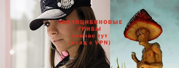 apvp Алексеевка
