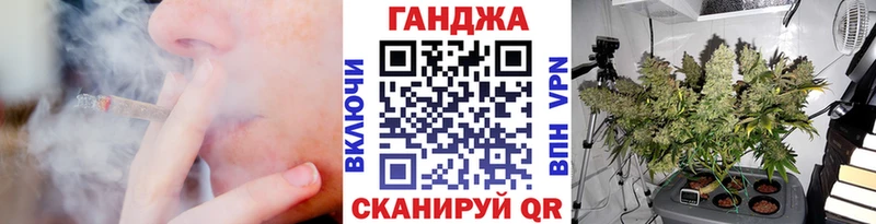 omg вход  Кашин  Марихуана THC 21% 
